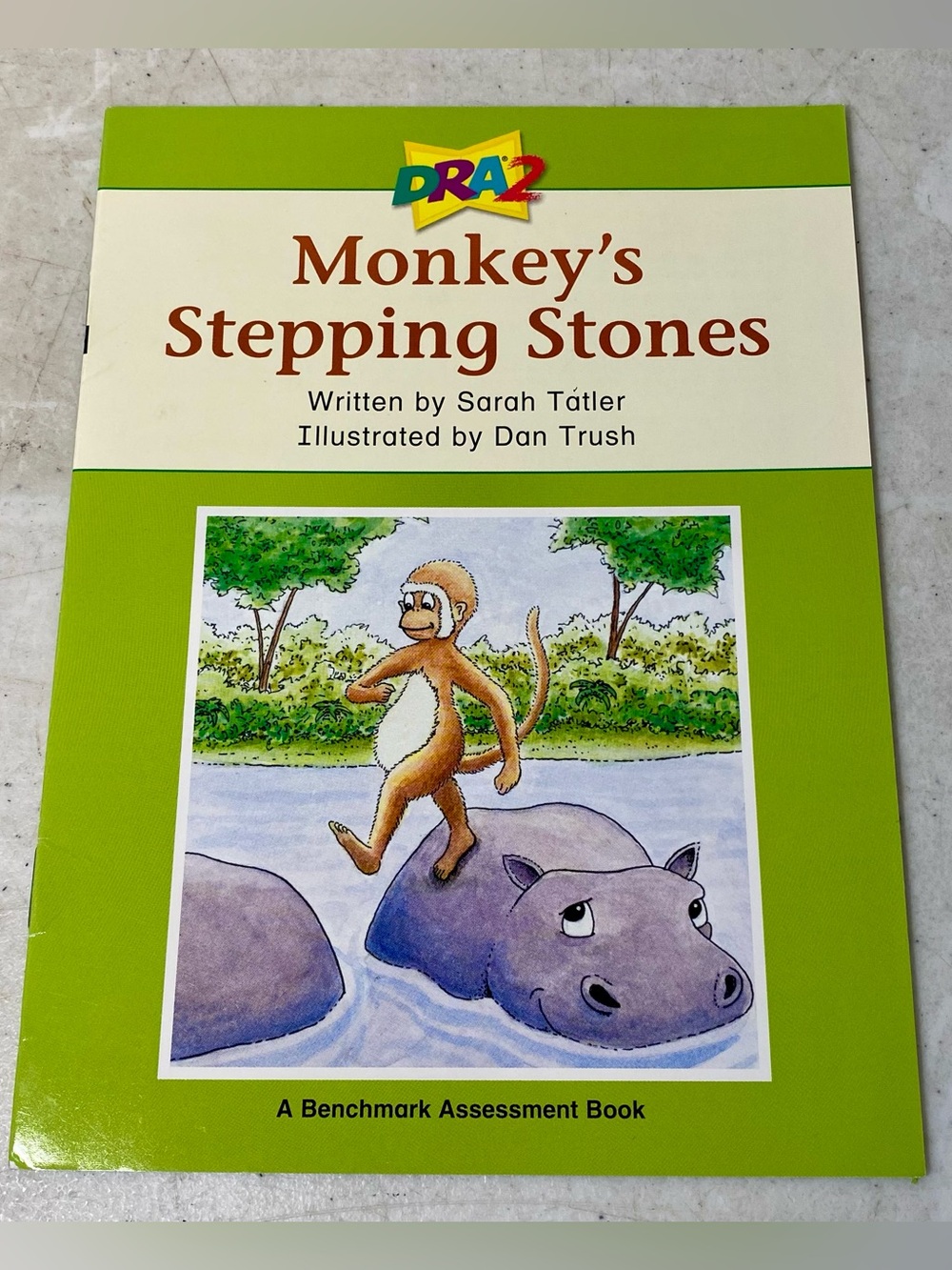Monkey’s Stepping Stones (A Benchmark Assessment Book Level 16) - Paperback - VG